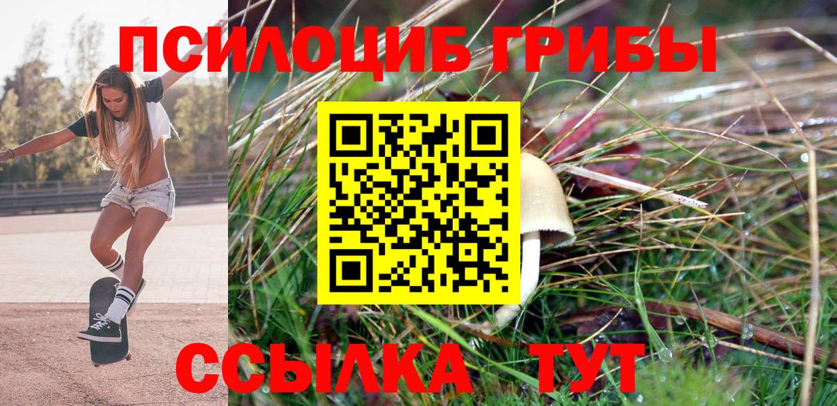Галлюциногенные грибы Psilocybine cubensis  Вход с VPN  Железноводск 