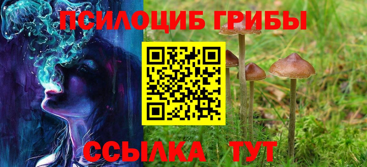 Галлюциногенные грибы Psilocybine cubensis Железноводск